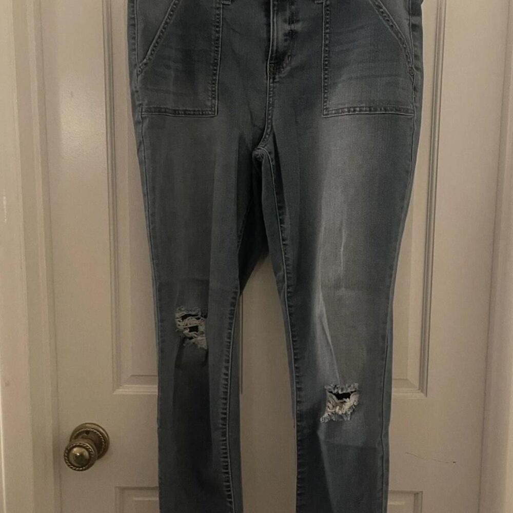 Style & Co Women’s Denim Curvy Skinny Leg Blue Jeans Size 12